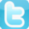 Twitter-logo-button 2013